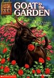 Amazon cover image