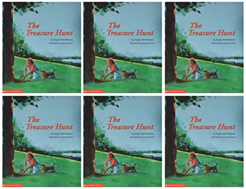 Cover of The treasure hunt