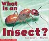 What is an Insect?