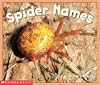 Spider Names