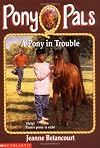A Pony In Trouble (Pony Pals #3)