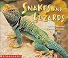 Snakes and Lizards
