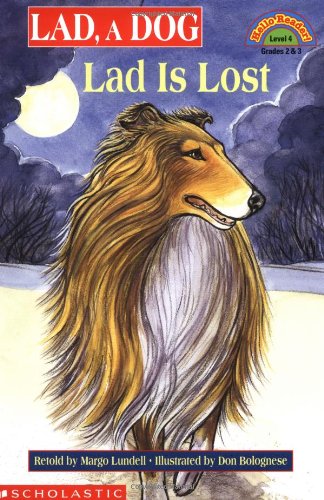 Lad Is Lost book cover