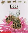 Bees (First Discovery)
