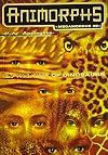 In The Time of Dinosaurs (Animorphs Megamorphs #2)