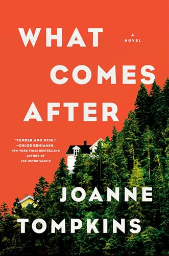 What Comes After book cover