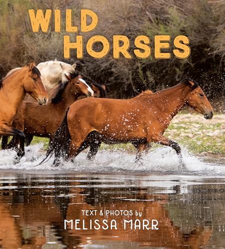 Wild Horses book cover