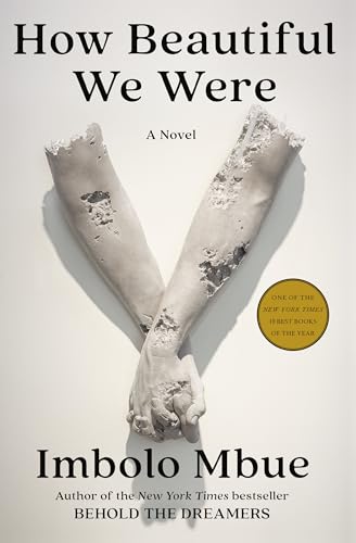 How Beautiful We Were book cover
