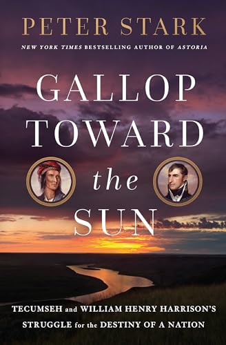 Gallop Toward the Sun book cover