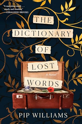 The Dictionary of Lost Words book cover