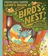 What's Inside A Bird's Nest?: And Other Questions About Nature & Life Cycles