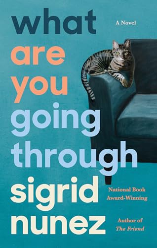 What Are You Going Through book cover