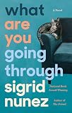 What Are You Going Through A Novel