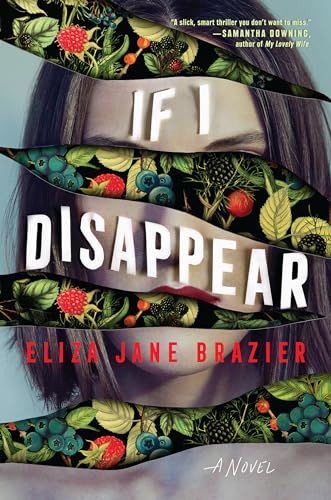 If I Disappear book cover