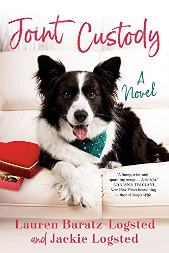 Joint Custody book cover