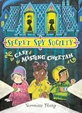 The Case of the Missing Cheetah