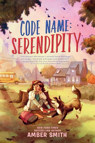 Code Name: Serendipity book cover