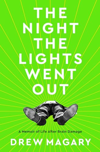The Night the Lights Went Out book cover