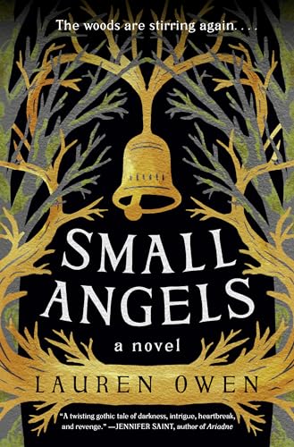 Small Angels book cover