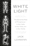 White Light: The Elemental Role of Phosphorus-in Our Cells, in Our Food, and in Our World