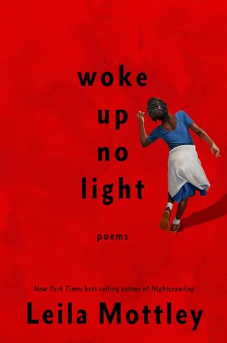 Woke Up No Light book cover