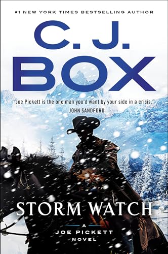 Storm Watch book cover