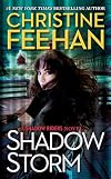 Shadow Storm (A Shadow Riders Novel)