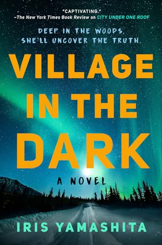 Village in the Dark book cover