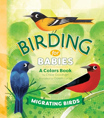 Birding for Babies : by Goodhart, Chloe