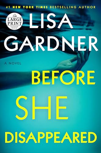 Before She Disappeared book cover