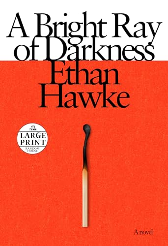 A Bright Ray of Darkness book cover