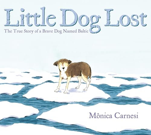 Cover of Little Dog Lost