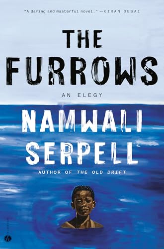 The Furrows book cover