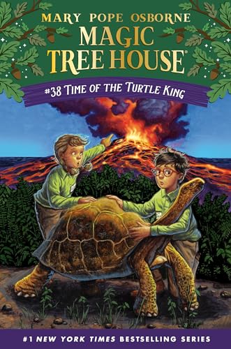 Cover of Time of the Turtle King