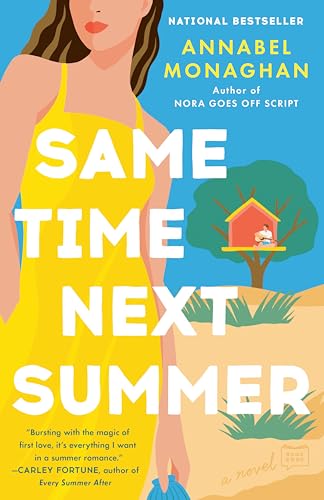 Same Time Next Summer book cover