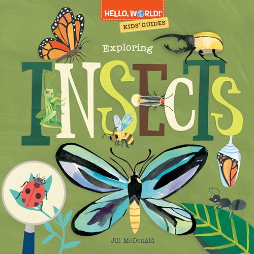 Exploring Insects book cover