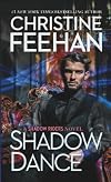 Shadow Dance (A Shadow Riders Novel)