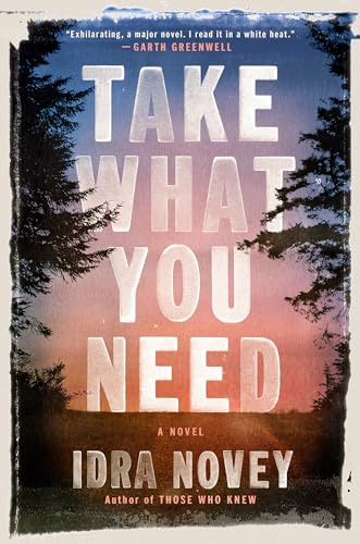 Take What You Need book cover