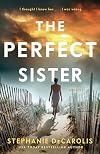 The Perfect Sister: A Novel