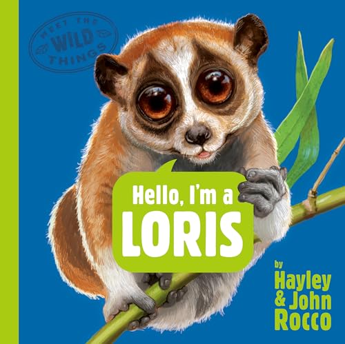 Hello, I'm A Loris / by Rocco, Hayley