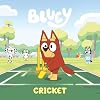 Bluey: Cricket