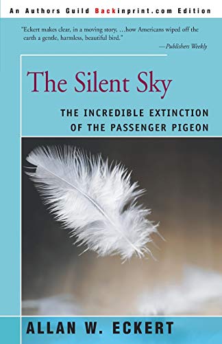 The Silent Sky book cover