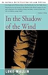In the Shadow of the Wind