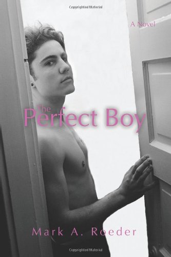 The Perfect Boy book cover