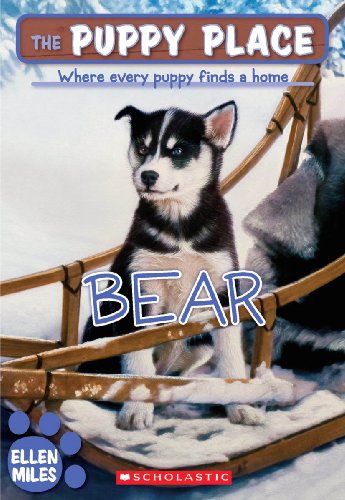 Bear book cover