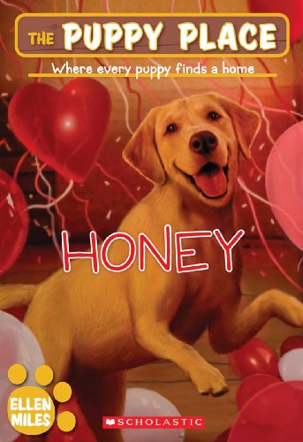 Honey book cover