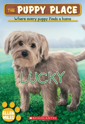 Lucky book cover