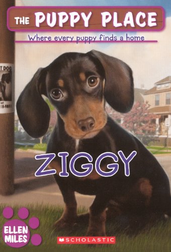 Ziggy book cover