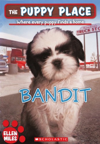 Bandit book cover