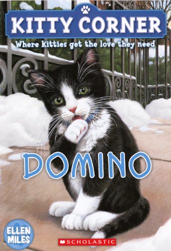 Domino book cover